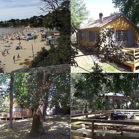 La Palombiere, Plage A 150M Meschers-sur-Gironde Bagian luar foto