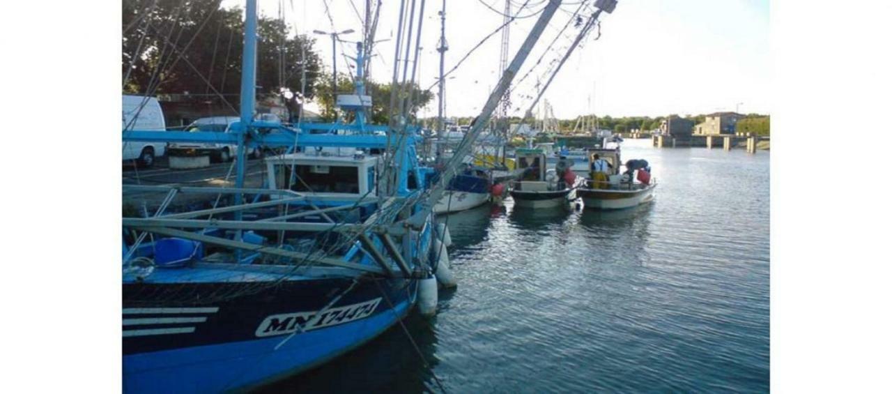 La Palombiere, Plage A 150M Meschers-sur-Gironde Bagian luar foto